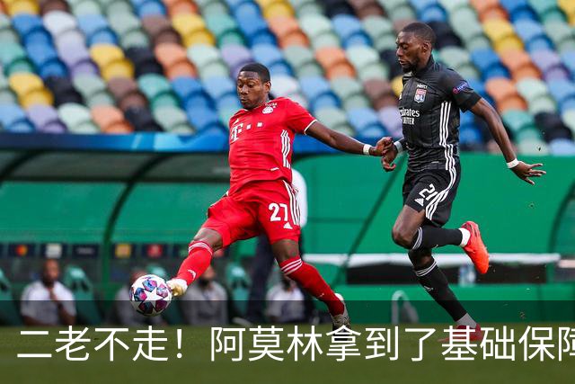 二老不走！阿莫林拿到了基础保障，魔笛继续打拼拉比奥特辅佐