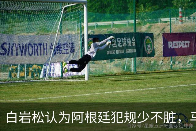 白岩松认为阿根廷犯规少不脏，马宁：我们更多是看犯规性质