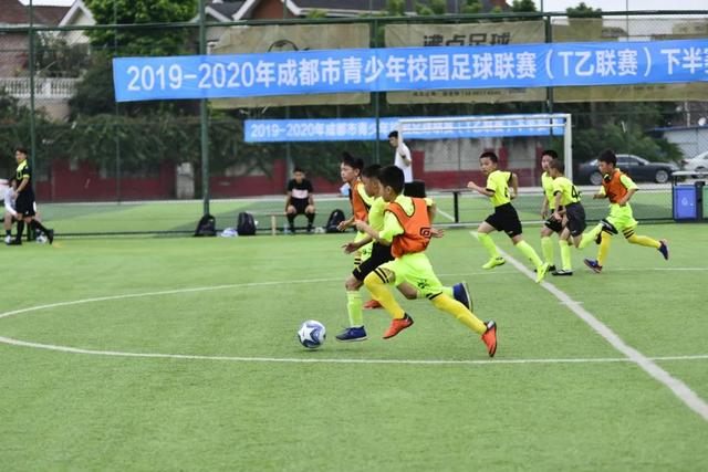 2025—2026全国大学生游泳锦标赛总决赛开赛
